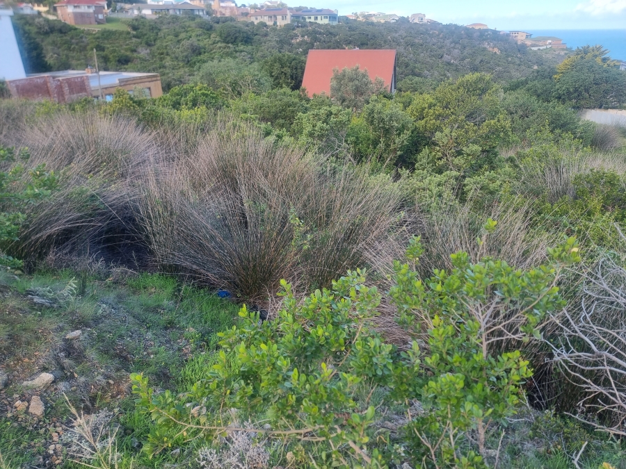 0 Bedroom Property for Sale in Dana Bay Western Cape